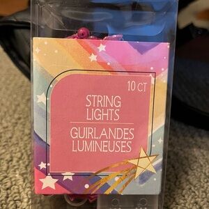 Flamingo Battery String Lights